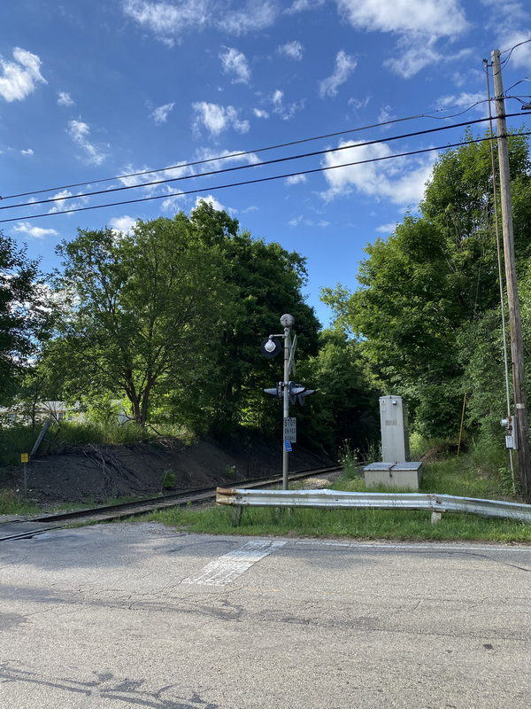 Byron - July 2020 (newer photo)